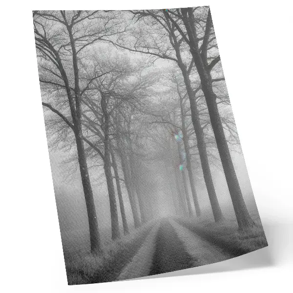 Poster mit Motiv einer nebligen Baumallee im modernen Minimalismus