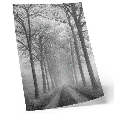 Poster mit Motiv einer nebligen Baumallee im modernen Minimalismus