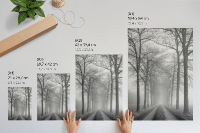 Poster Misty Tree Alley Moderner Minimalismus