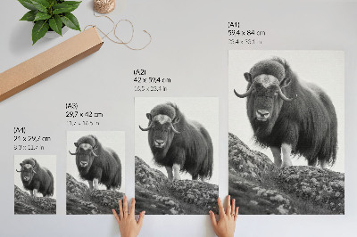 Kunstdruck leinwand Schwarz-Weiß-Fotografie, Tier, rohe Natur, Eleganz