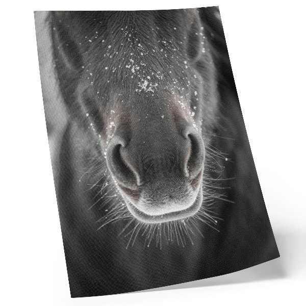Kunstdruck leinwand Fotorealistische Nahaufnahme eines Pferdegesichts im Schnee