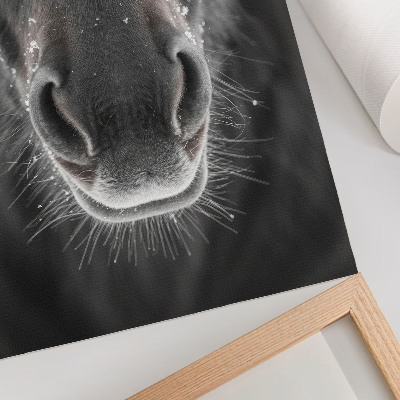 Kunstdruck leinwand Fotorealistische Nahaufnahme eines Pferdegesichts im Schnee