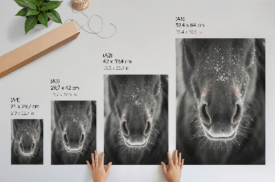 Kunstdruck leinwand Fotorealistische Nahaufnahme eines Pferdegesichts im Schnee