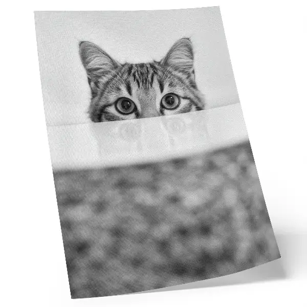 Poster Katze hinter der Oberfläche im minimalistischen Schwarz-Weiß-Design
