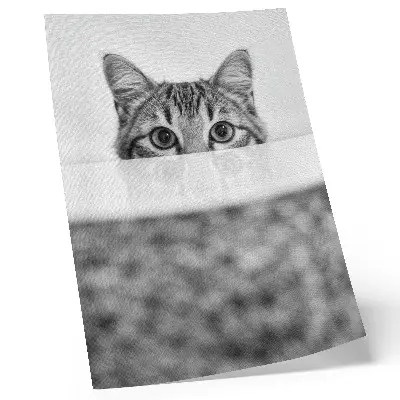 Poster Katze hinter der Oberfläche im minimalistischen Schwarz-Weiß-Design