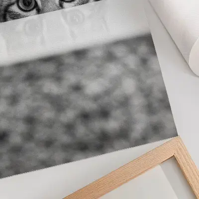Poster Katze hinter der Oberfläche im minimalistischen Schwarz-Weiß-Design
