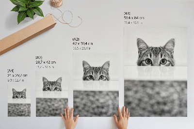 Poster Katze hinter der Oberfläche Schwarz-Weiß-Minimalismus