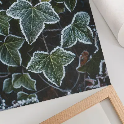 Wandposter mit grünen Blättern und weißem Reif an den Rändern