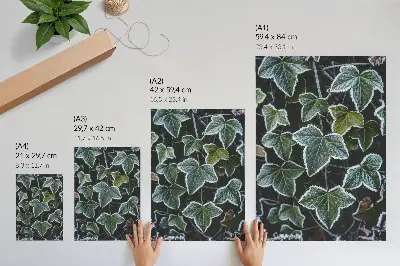 Wandposter mit grünen Blättern und weißem Reif an den Rändern