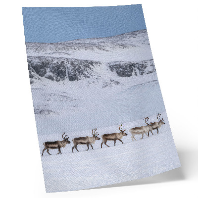 Wandposter Rentiere vor der Kulisse einer winterlichen Berglandschaft