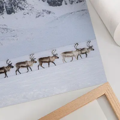 Wandposter Rentiere vor einer winterlichen Berglandschaft