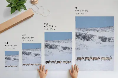 Wandposter Rentiere vor einer winterlichen Berglandschaft