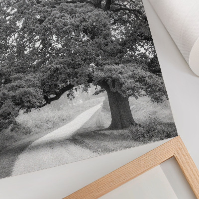 Kunstdruck leinwand Monumentaler Baum, friedliche Landschaft, sich ausbreiten