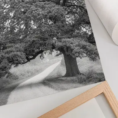 Kunstdruck auf Leinwand monumentaler Baum in einer friedlichen Landschaft