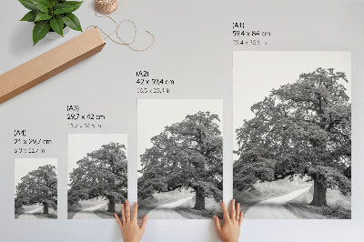 Kunstdruck leinwand Monumentaler Baum, friedliche Landschaft, sich ausbreiten