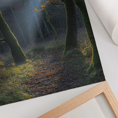 Wandposter Zauberhafter Wald, Herbstlicht, friedliche Atmosphäre