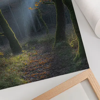 Wandposter zauberhafter Wald im Herbstlicht mit friedlicher Atmosphäre