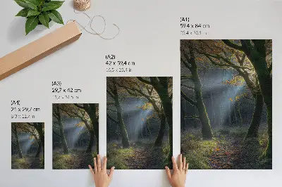 Wandposter zauberhafter Wald im Herbstlicht mit friedlicher Atmosphäre