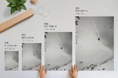 Poster mit Motiv zur perfekten Bewegungsgeometrie und Sportdynamik in einer Winterszene