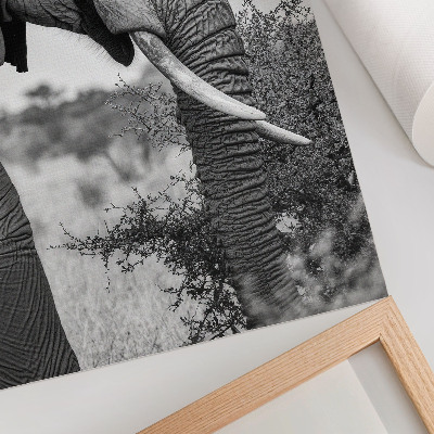 Wandposter Elefanten-Nahaufnahme, natürliche Schönheit, Harmonie der Texturen