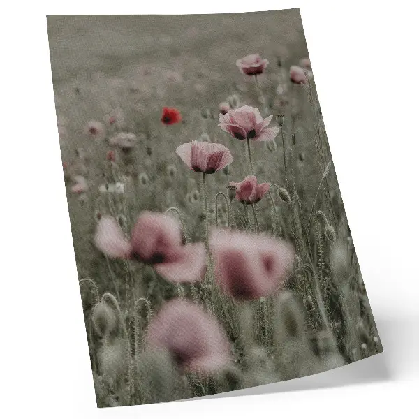 Poster mit pastellfarbenen Mohnblumen in romantischer Atmosphäre mit zarten Blüten