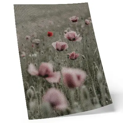 Poster mit pastellfarbenen Mohnblumen in romantischer Atmosphäre mit zarten Blüten
