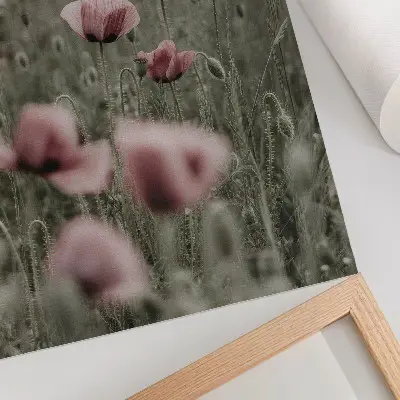 Poster mit pastellfarbenen Mohnblumen in romantischer Atmosphäre mit zarten Blüten