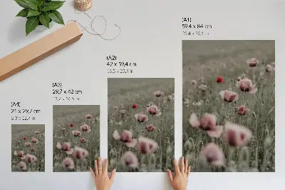 Poster mit pastellfarbenen Mohnblumen in romantischer Atmosphäre mit zarten Blüten