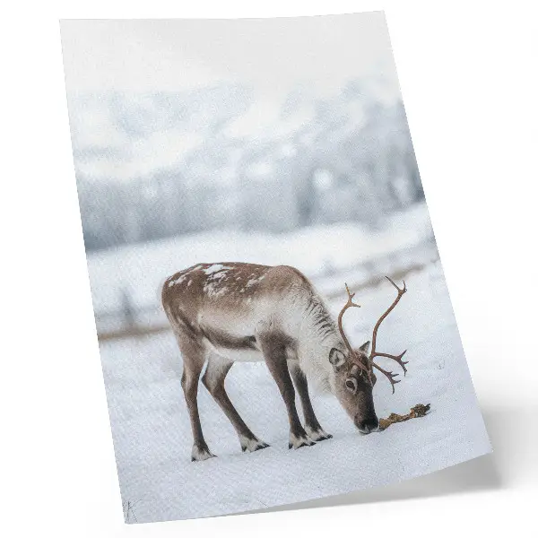 Wandposter Rentiere im verschneiten Wald für eine ruhige und elegante Atmosphäre