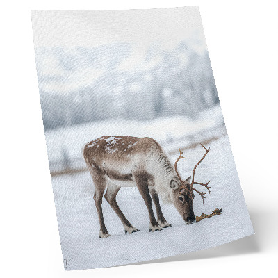 Wandposter Rentiere im Schnee, Natur, Ruhe, Eleganz