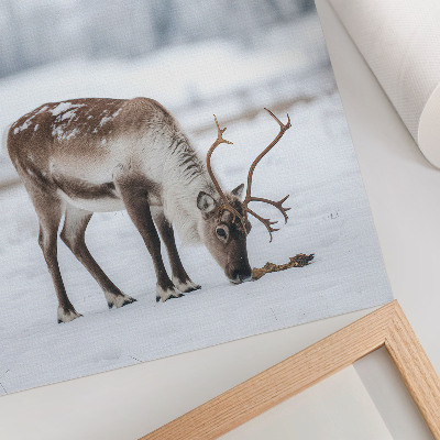 Wandposter Rentiere im Schnee, Natur, Ruhe, Eleganz