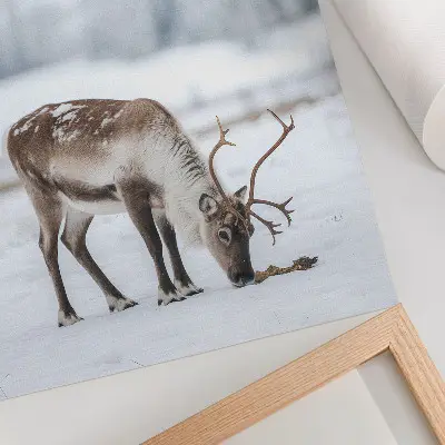 Wandposter Rentiere im verschneiten Wald für eine ruhige und elegante Atmosphäre