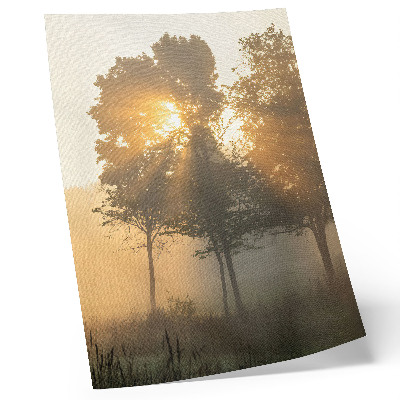 Poster Neblige Morgendämmerung, warmes Licht, Bäume – Inspiration