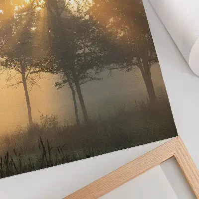 Poster Neblige Morgendämmerung mit warmem Licht und Bäumen zur Inspiration