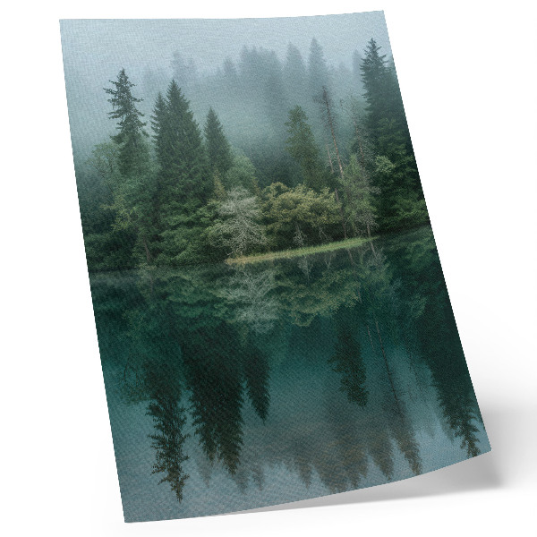 Poster Grüne Waldtiefen, Nebelspiegelung im Wasser