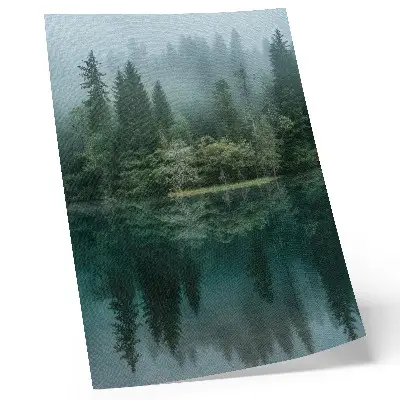 Poster grüne Waldtiefen mit Nebelspiegelung im Wasser