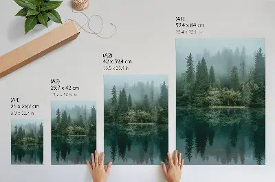 Poster grüne Waldtiefen mit Nebelspiegelung im Wasser
