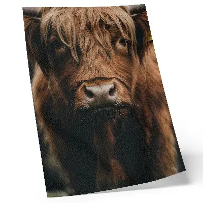 Poster Tierporträt mit Fell in rustikaler Atmosphäre