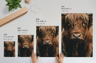 Poster Tierporträt mit Fell in rustikaler Atmosphäre