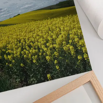 Kunstdruck auf Leinwand gelbe Felder vor blauem Himmel