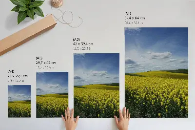 Kunstdruck auf Leinwand gelbe Felder vor blauem Himmel