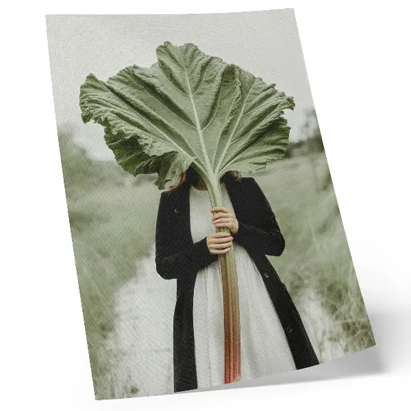 Das Geheimnis der Natur: Blatt und Figur Poster