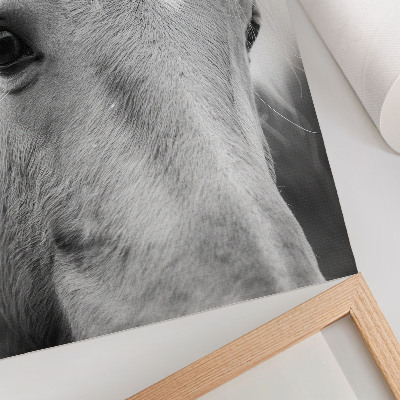 Wandposter Pferdeaugen Schwarz-Weiß Eleganz