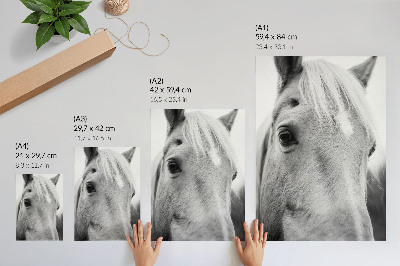 Wandposter Pferdeaugen Schwarz-Weiß Eleganz