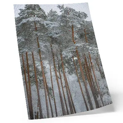 Poster Winterwald mit schneebedeckten Bäumen für Frieden und Harmonie in der Natur