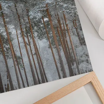 Poster Winterwald mit schneebedeckten Bäumen für Frieden und Harmonie in der Natur