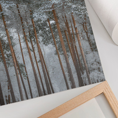Poster Winterwald, schneebedeckte Bäume, Frieden, Harmonie, Natur