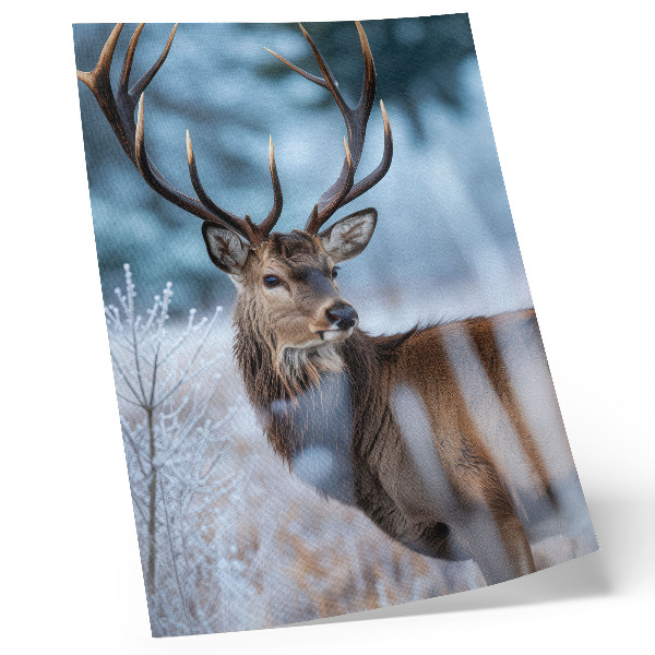 Kunstdruck leinwand Die Schönheit der Natur, Winterlandschaft, majestätische Hirsche