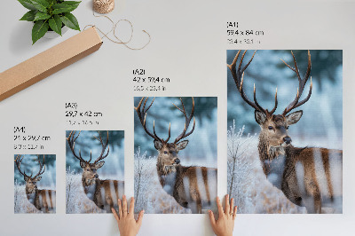 Kunstdruck leinwand Die Schönheit der Natur, Winterlandschaft, majestätische Hirsche