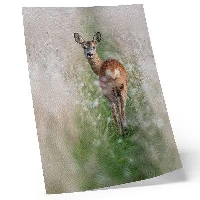 Wandposter Rehe vor der Kulisse von Naturharmonie und Naturfrieden